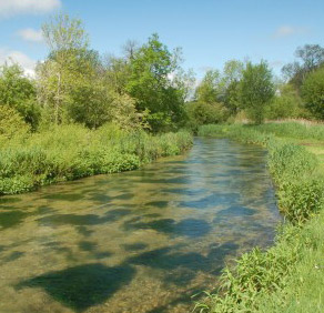 The River Lambourn