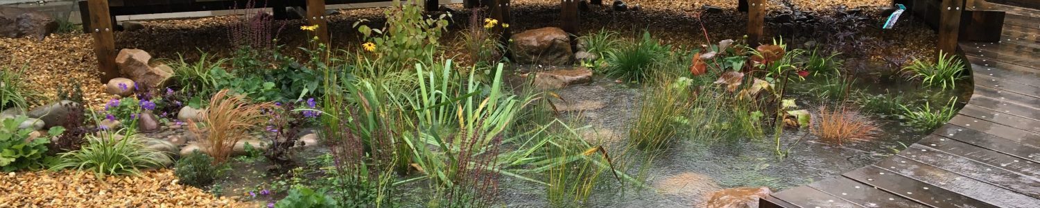 Aldbourne rain garden in heavy rainstorm