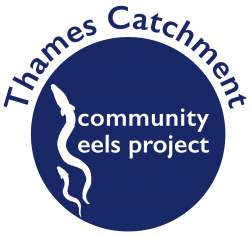 Eel Project Logo